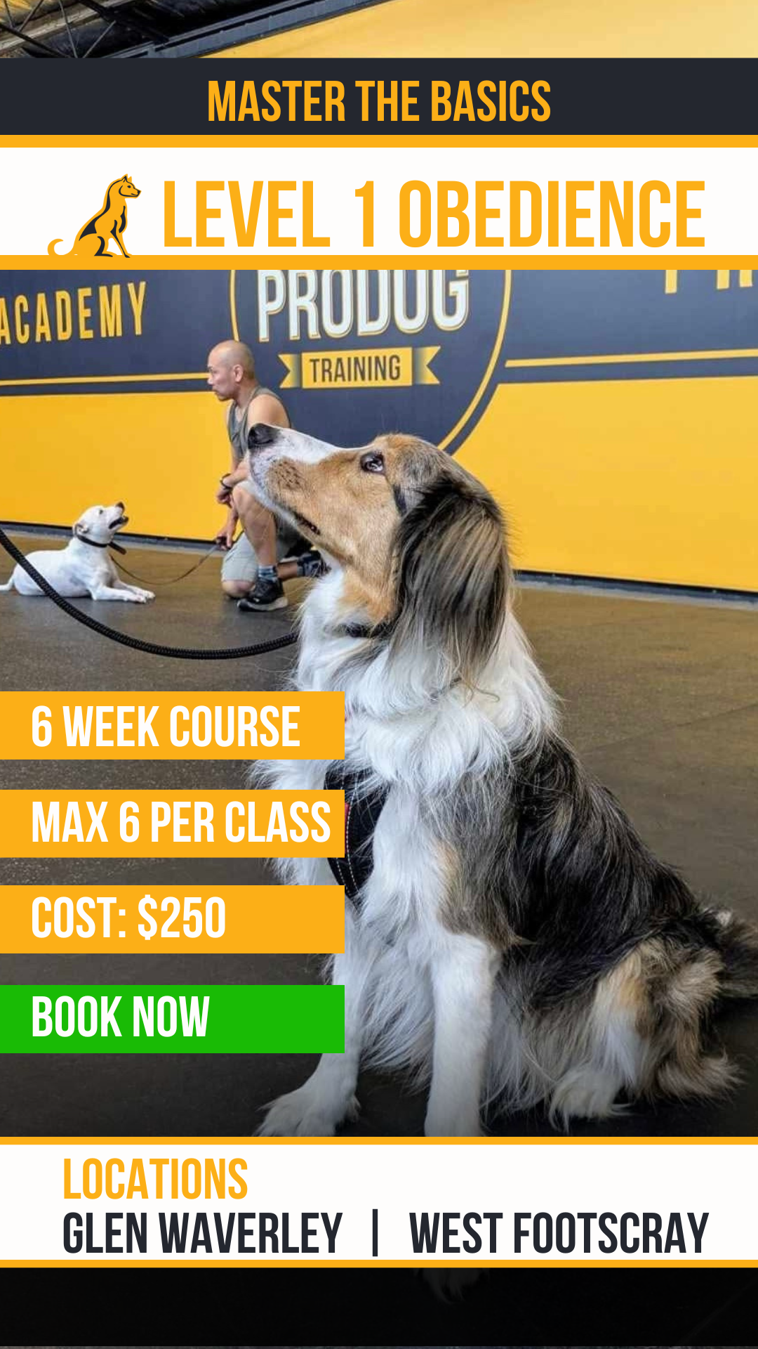 Pro Dog Training Facebook ad