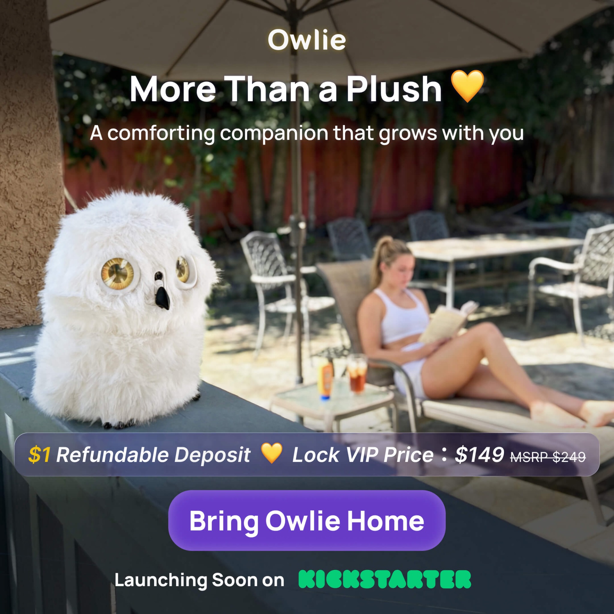 Owlie Facebook ad