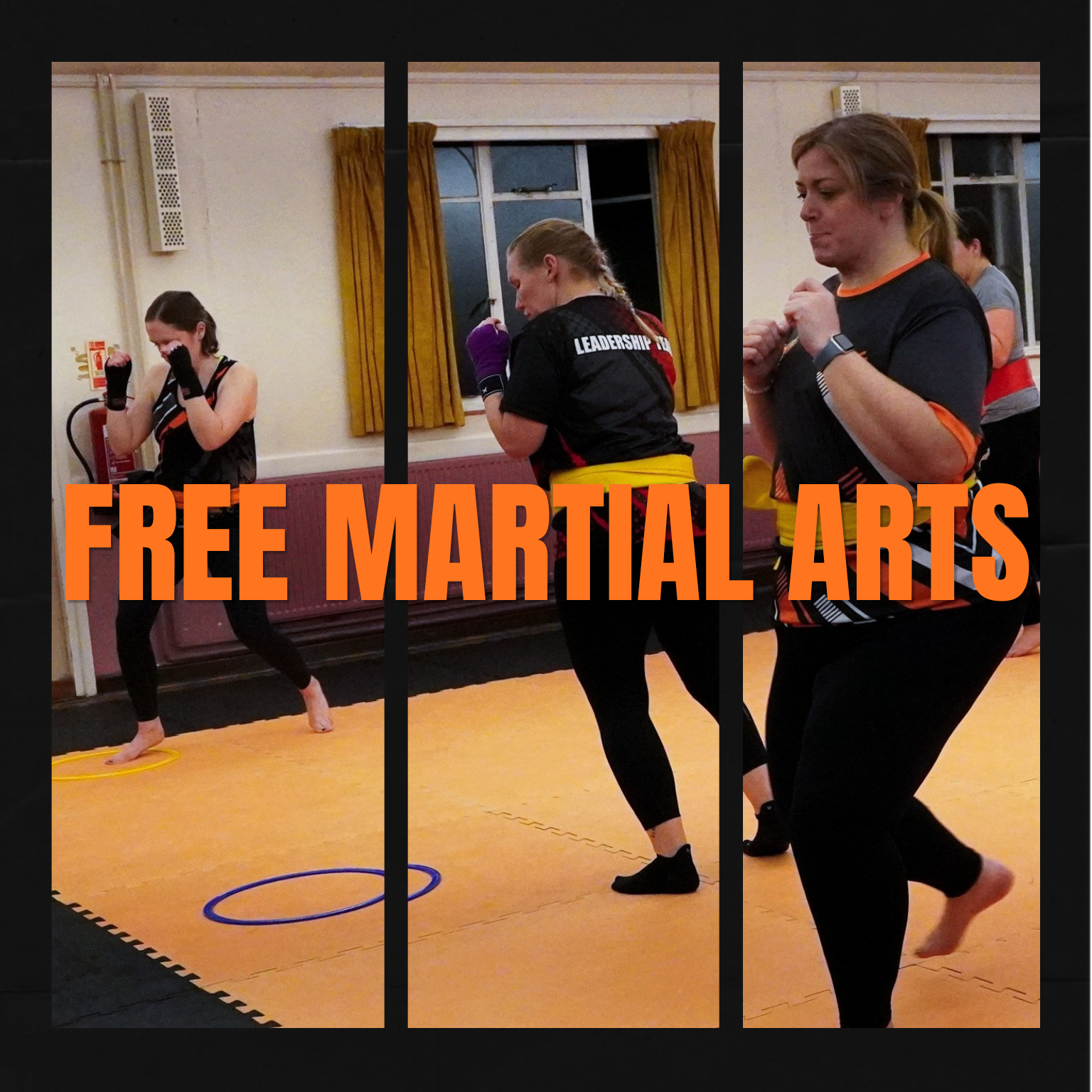 Phoenix Martial arts Chelmsford Facebook ad