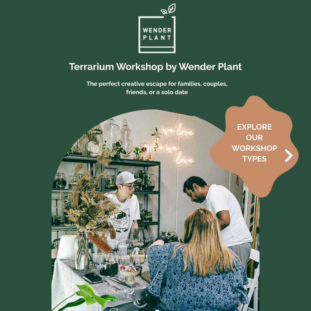 Wender Plant Facebook ad