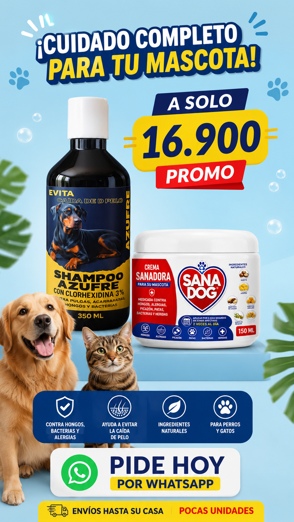 Tienda LMS Facebook ad