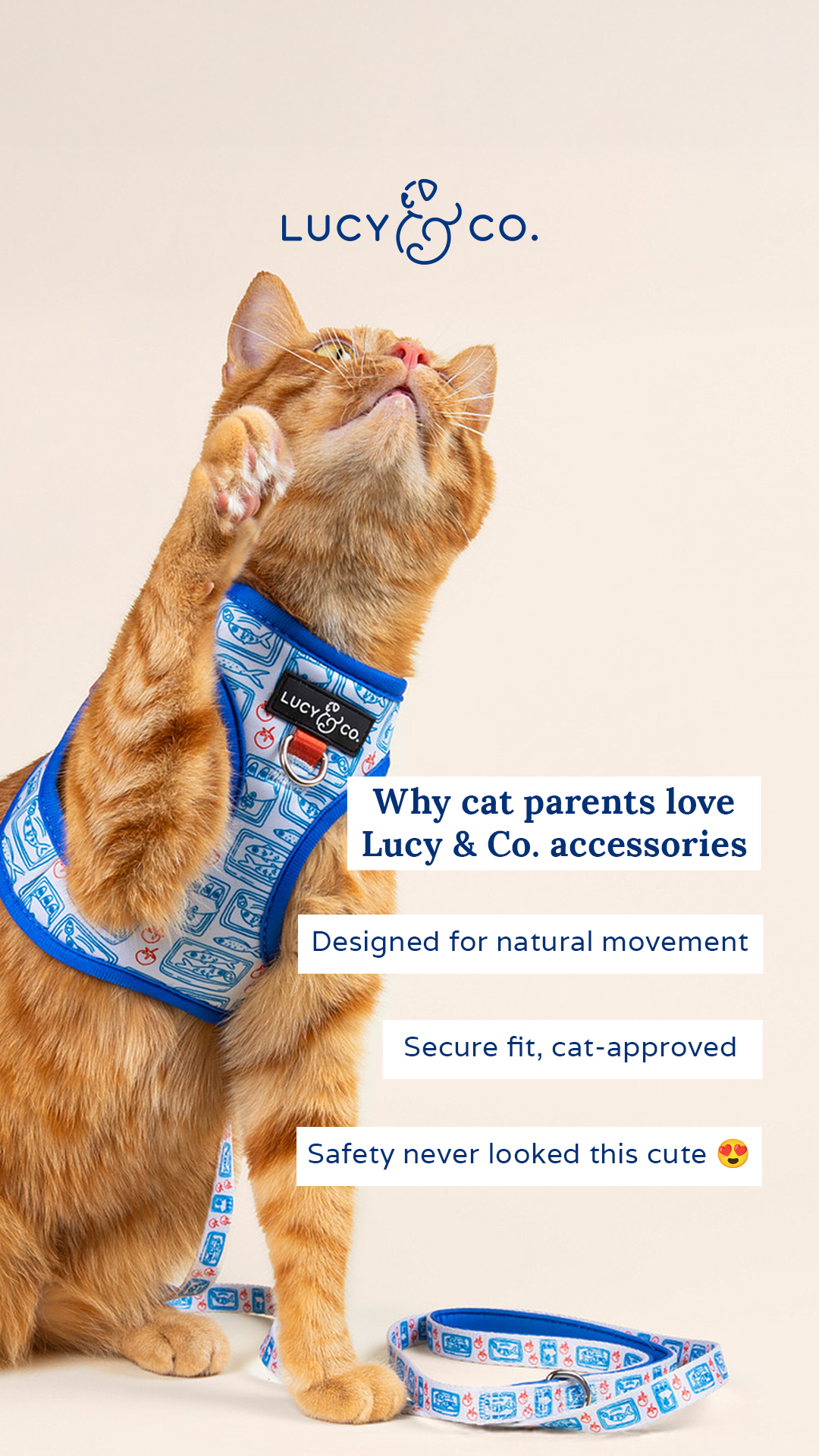 Lucy & Co. Facebook ad