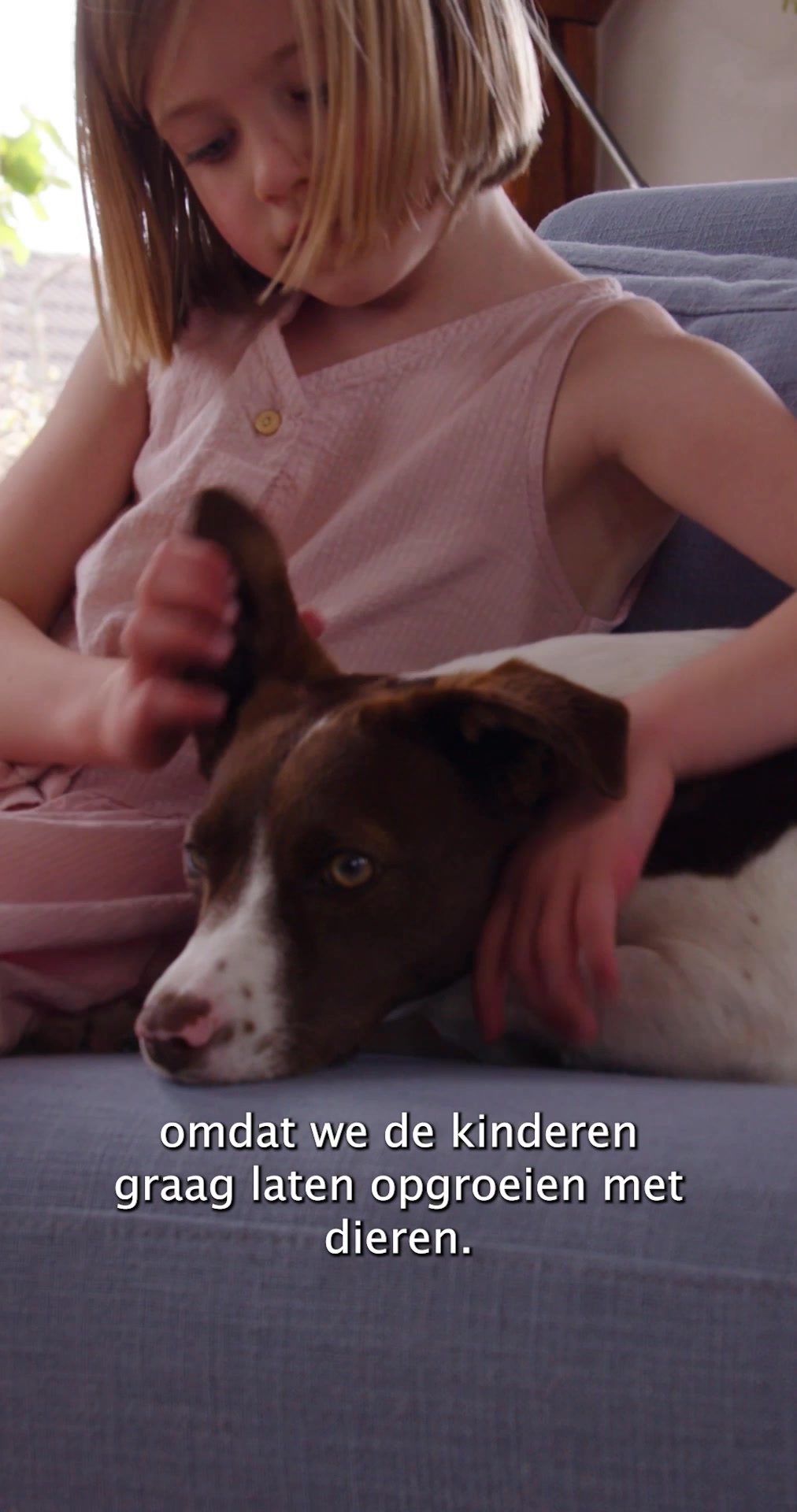 Verhuisdieren Facebook ad from May 26, 2025