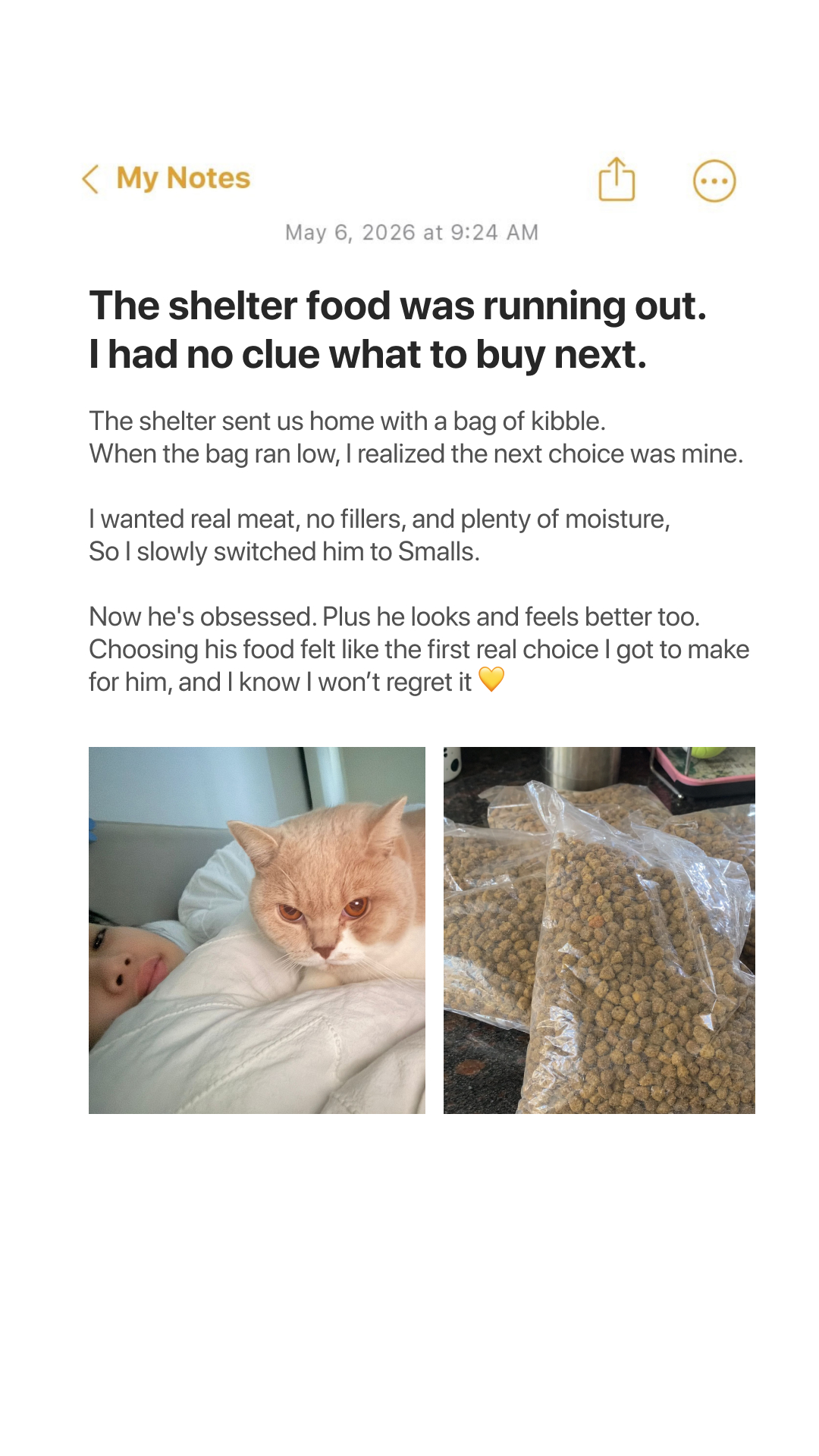Smalls Facebook ad: Human-Grade Fresh Cat Food