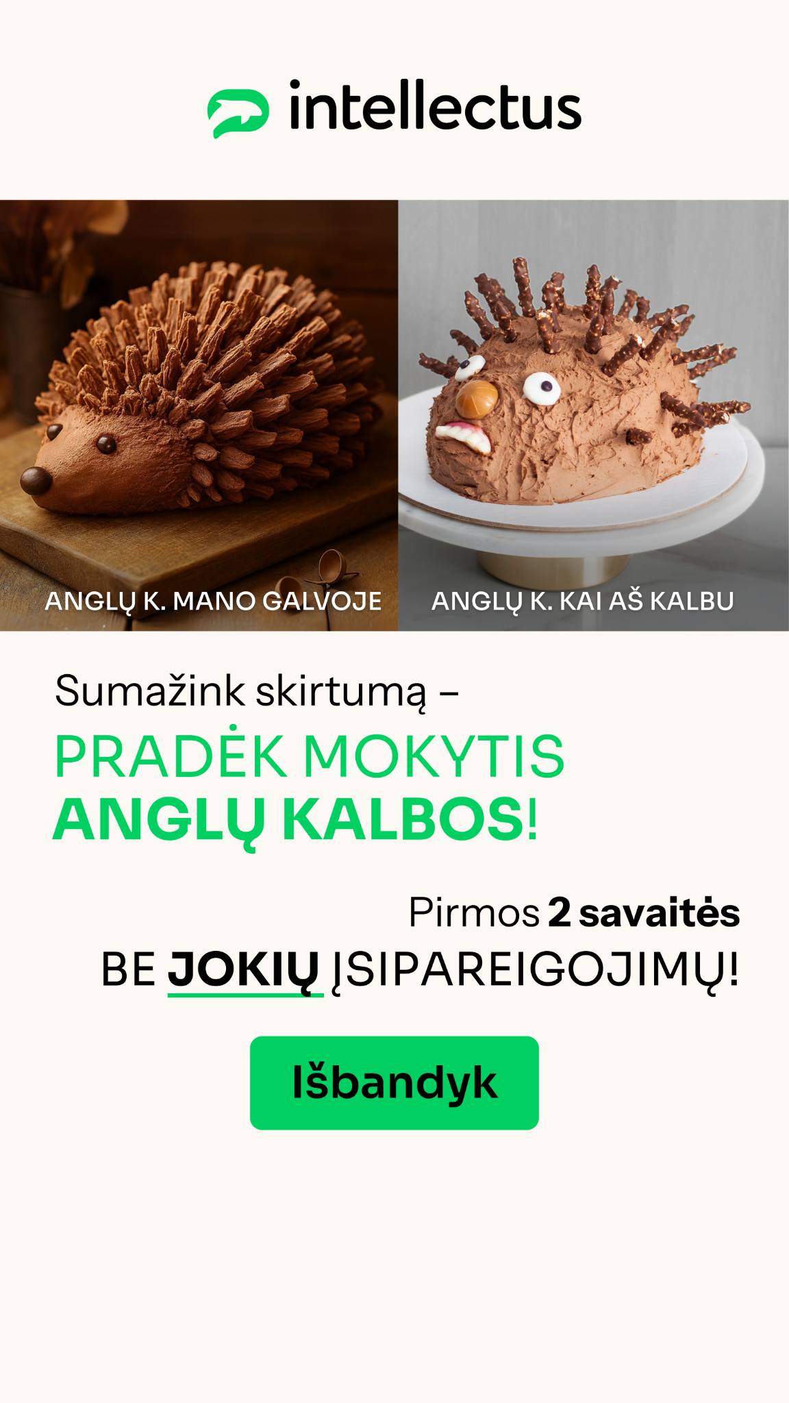 Anglų kalbos mokykla „Intellectus“ Facebook ad