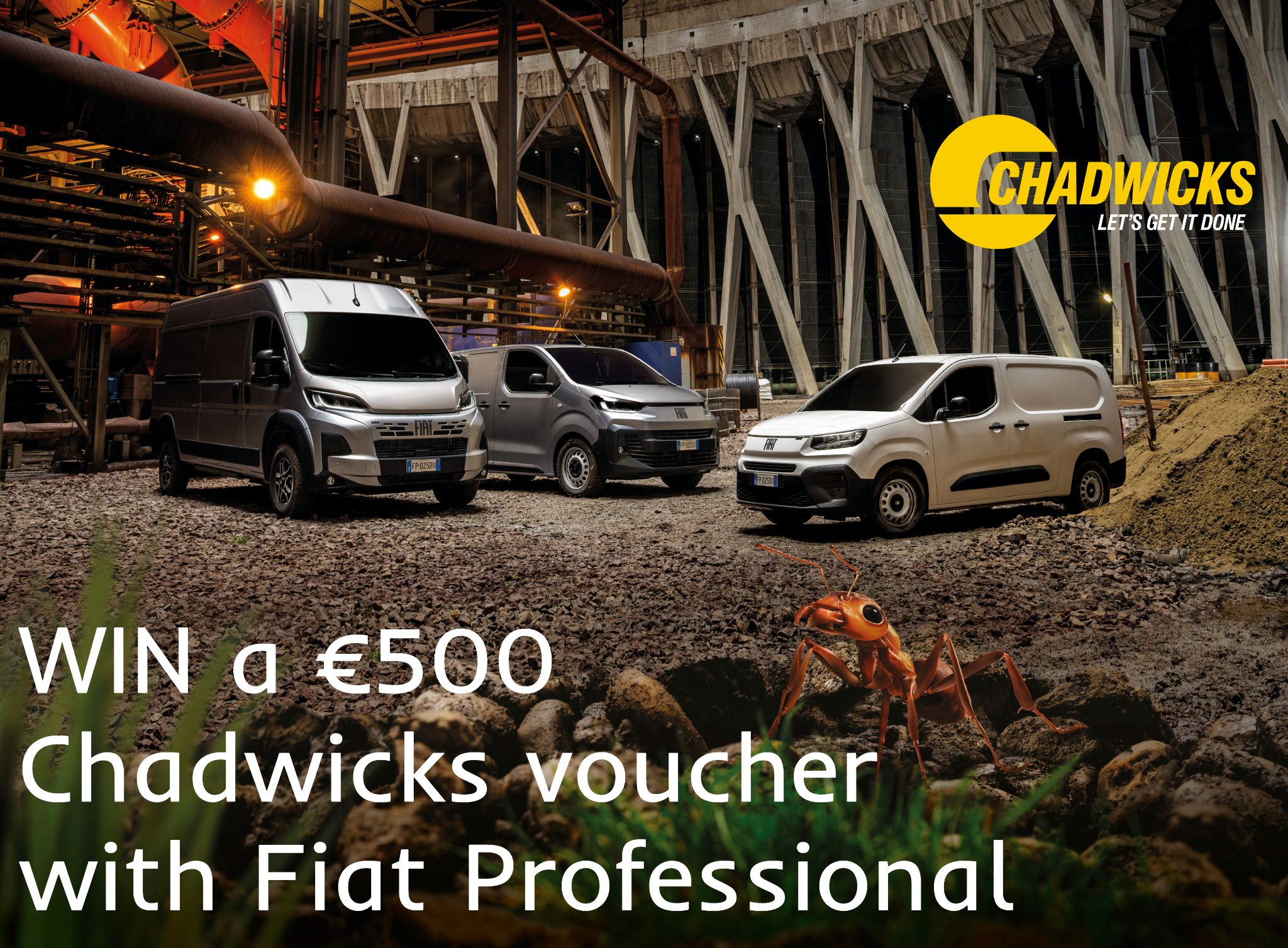 Irish Daily Mirror Facebook ad: Take the quiz now!