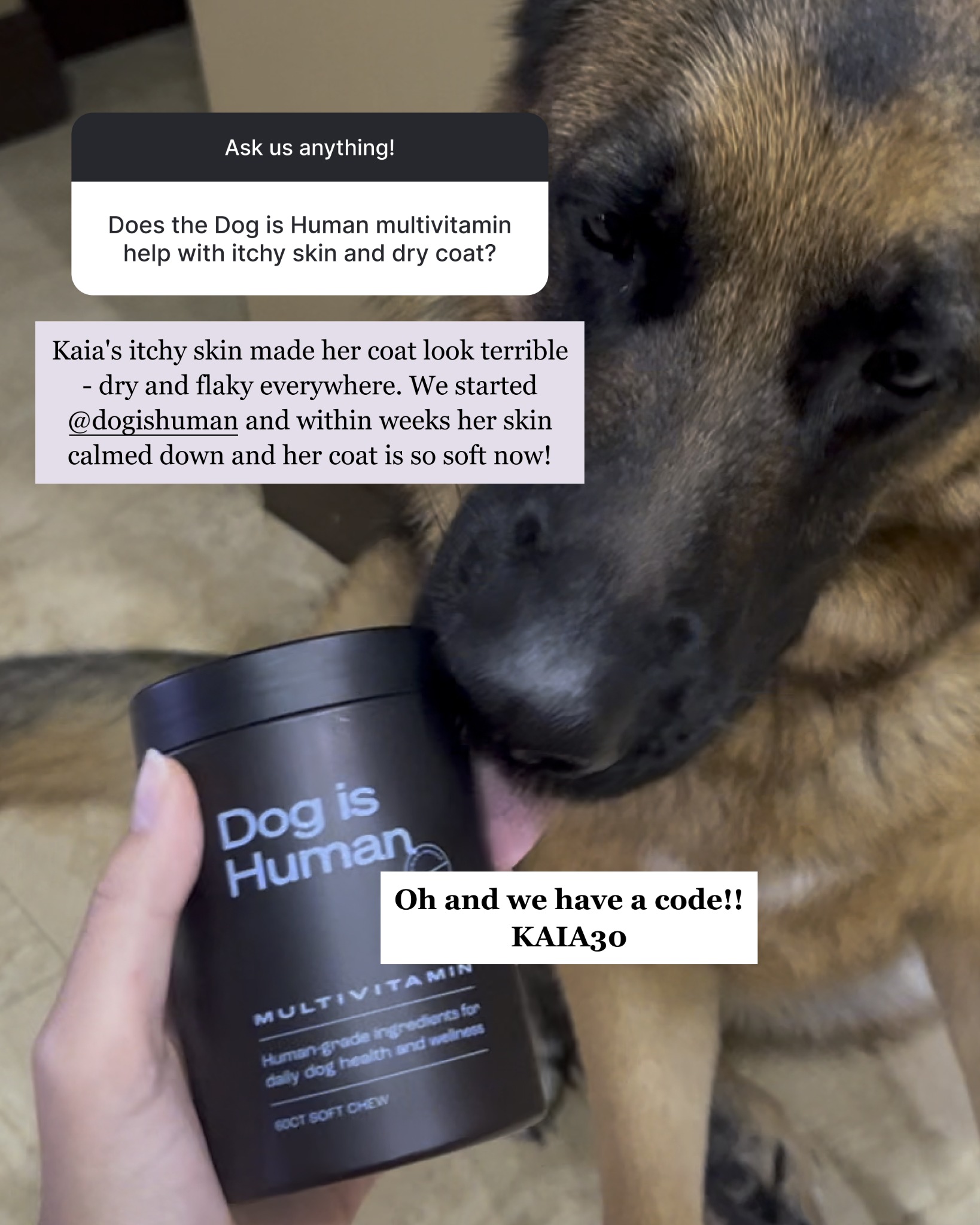 Dog is Human Facebook ad