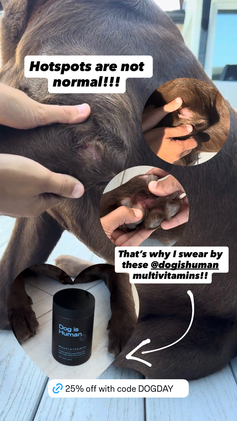 Dog is Human Facebook ad