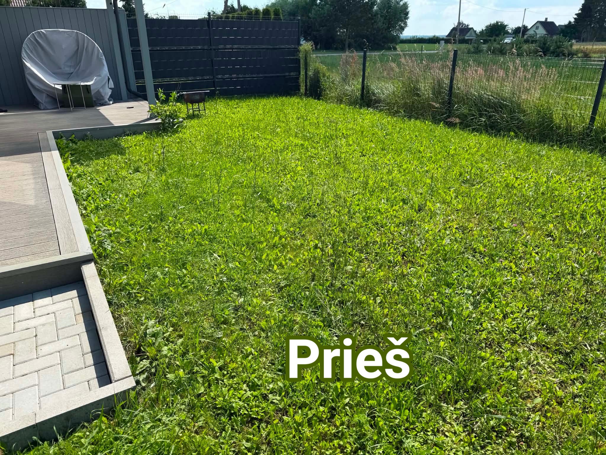 Hortus apželdinimas Facebook ad: Ruloninės ir sėjamos vejos įrengimas.