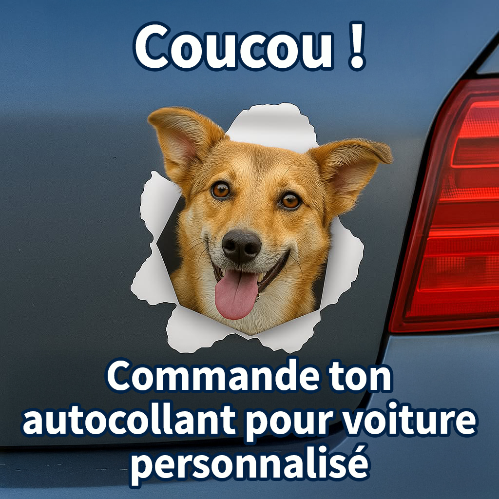 Pet Printed Facebook ad