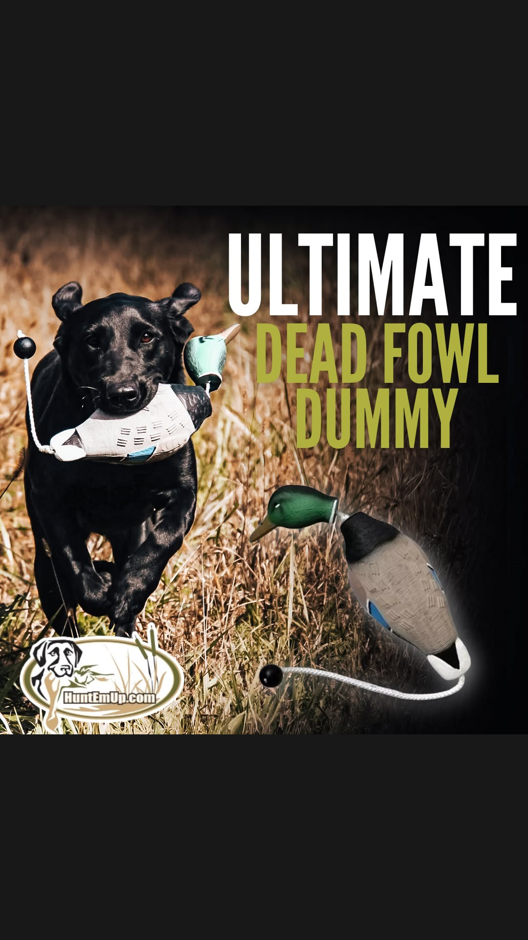 HuntEmUp.com Facebook ad: Master Training & Hunting - #1 Fowl Dummy