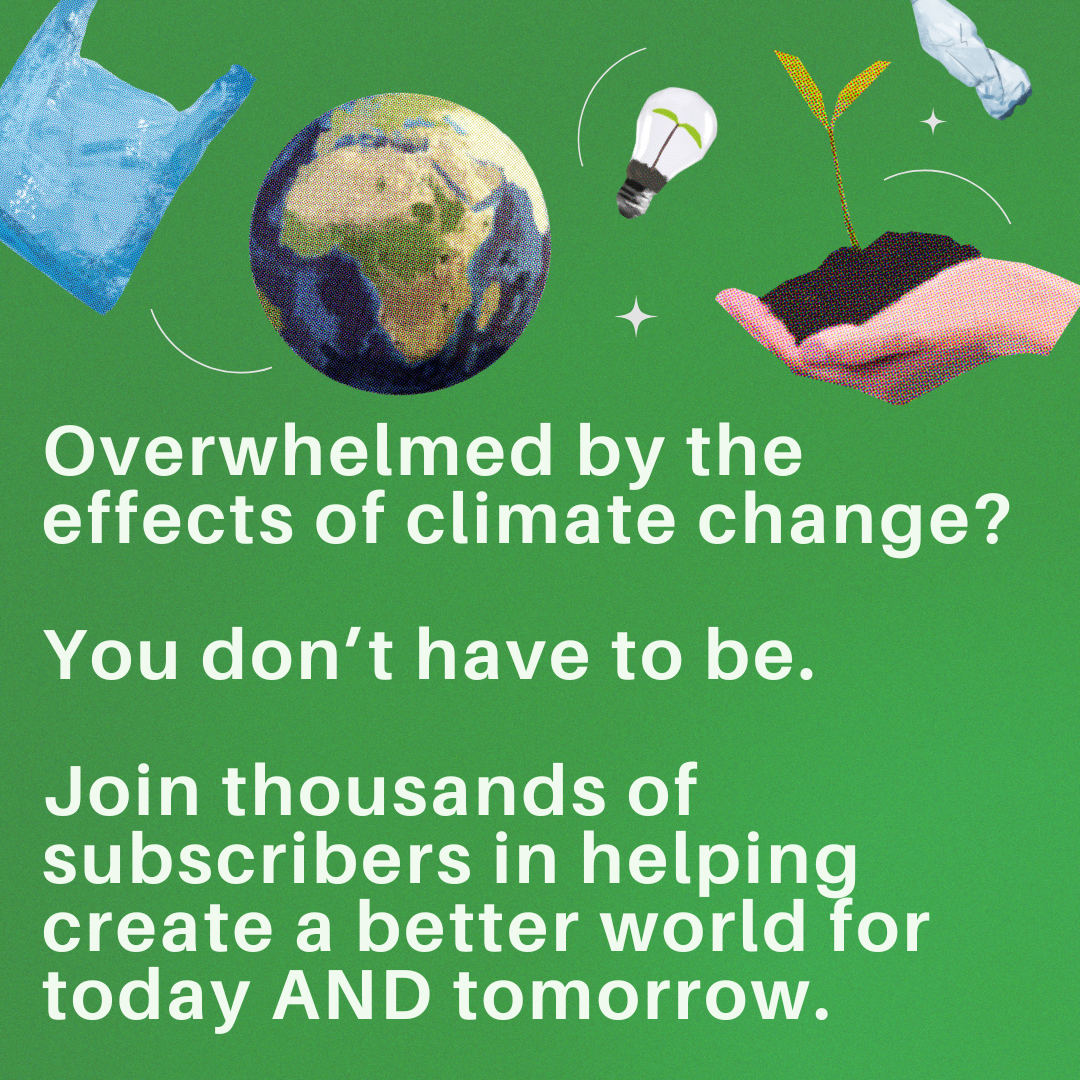 Bluedot Living  Facebook ad