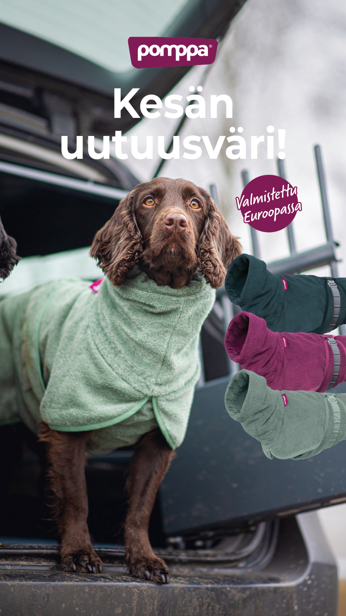 Pomppa Dogwear Facebook ad