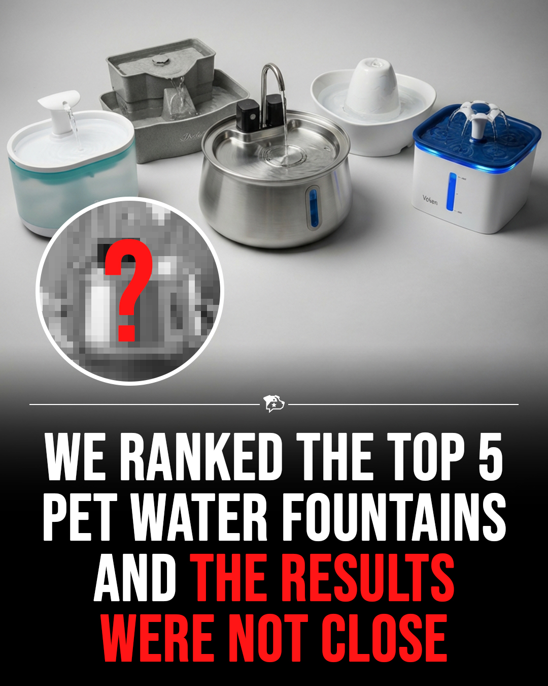 Best Dog Products 2026 Facebook ad
