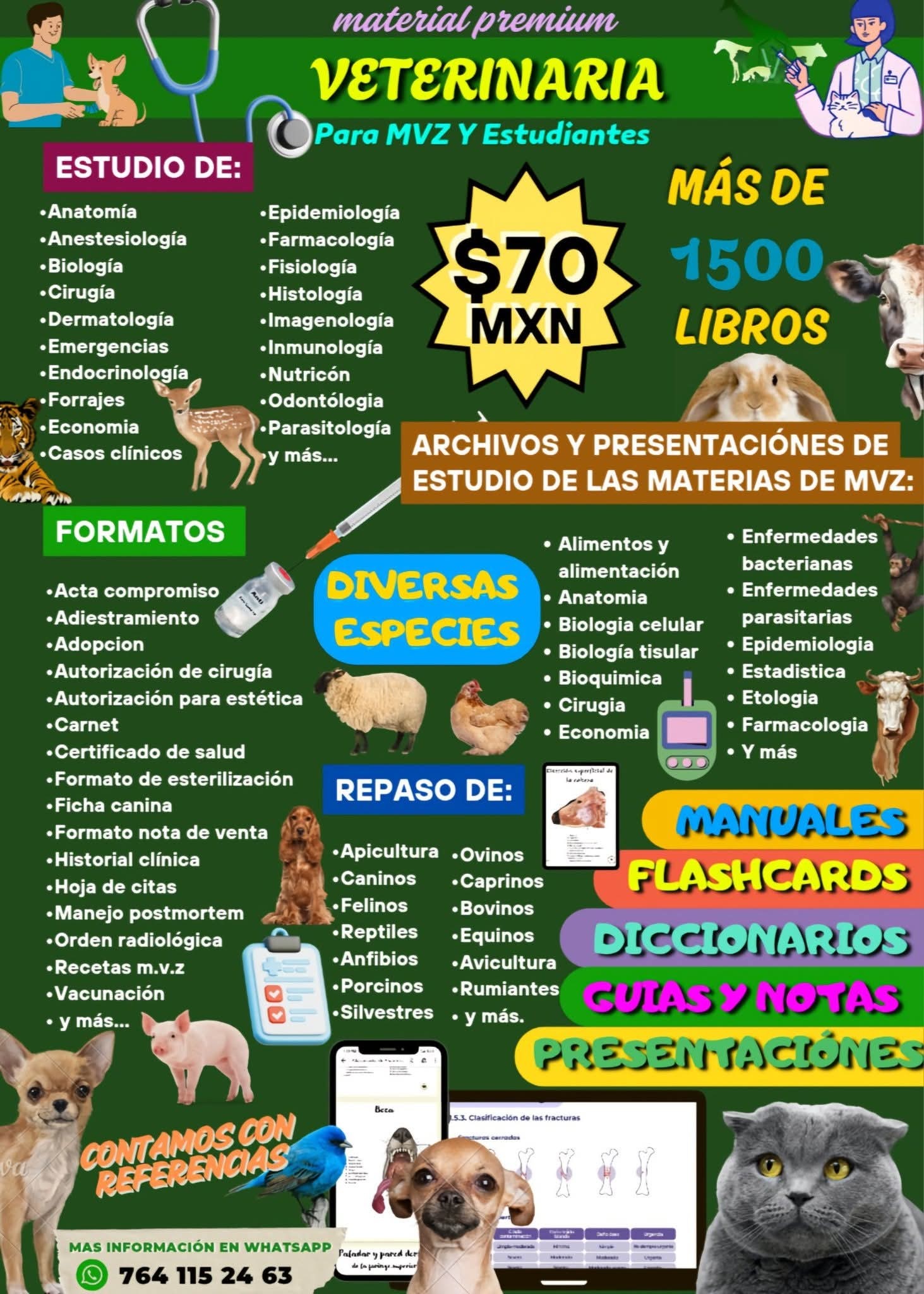 Vetdigital Facebook ad: INCLUYE REGALOS (5/5)