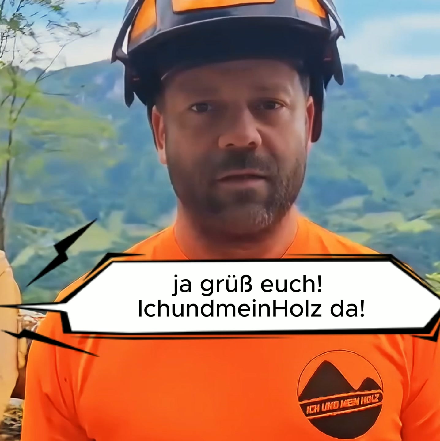ICH UND MEIN HOLZ - Forestry Shirts Facebook ad: Summersale 2+1gratis