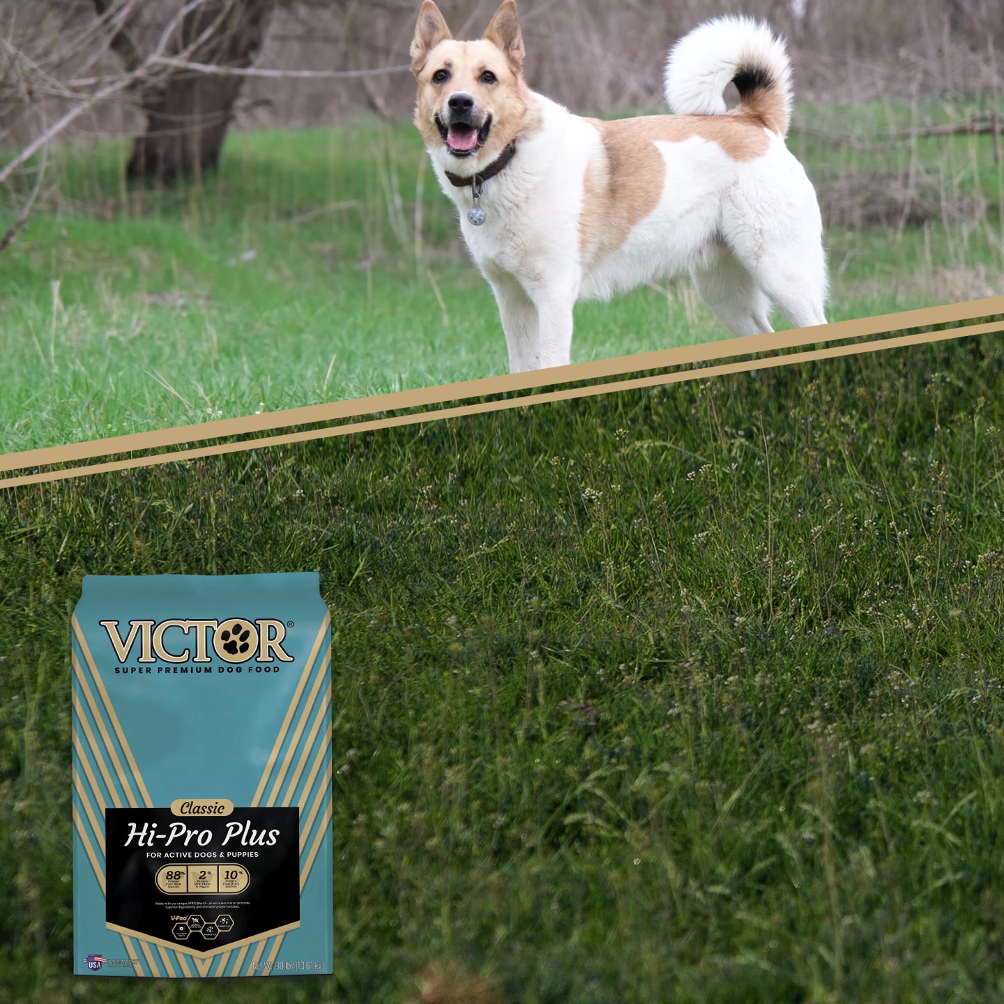 VICTOR Super Premium Pet Food Facebook ad: Quality Fuel