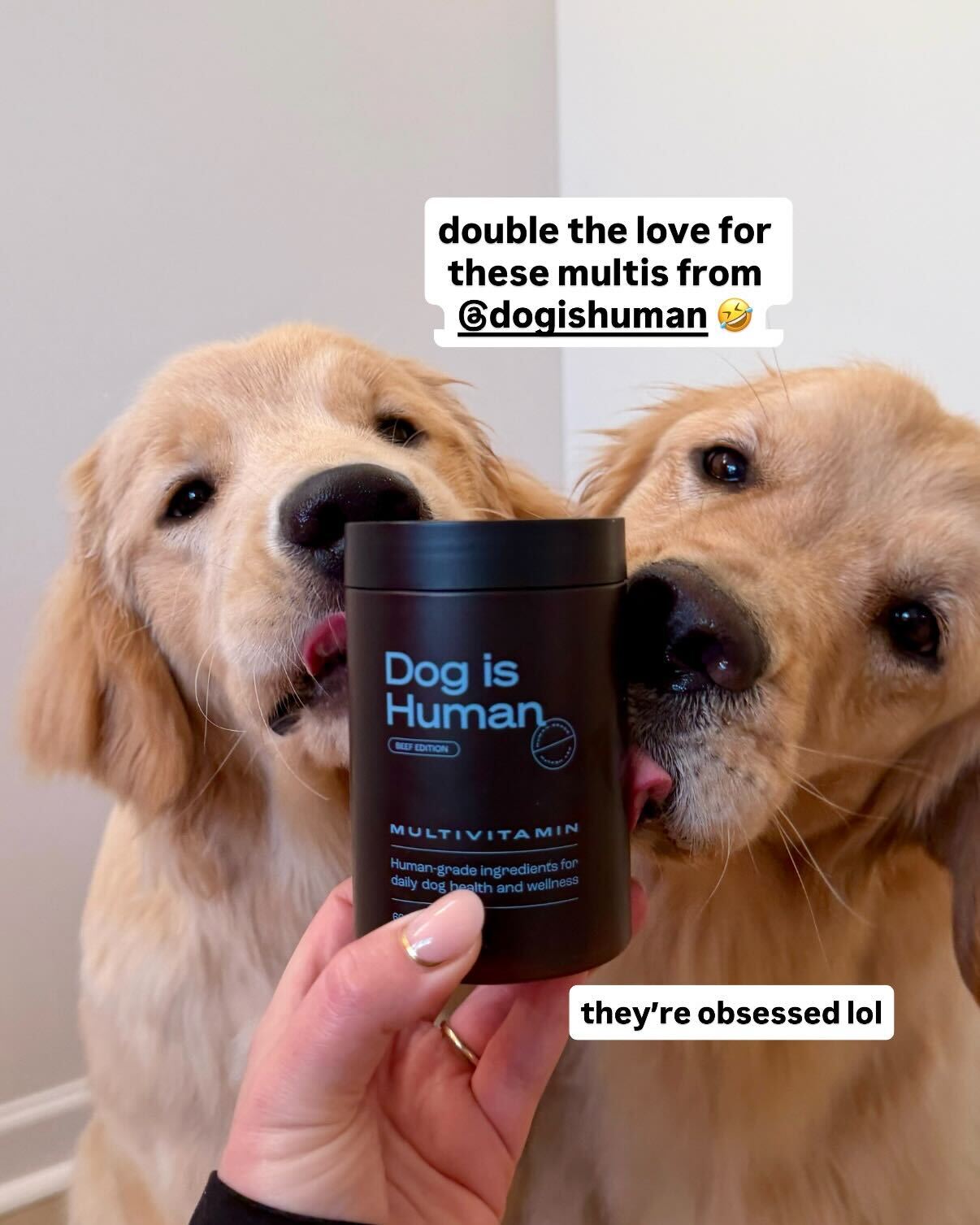 Smart Dog Health Facebook ad