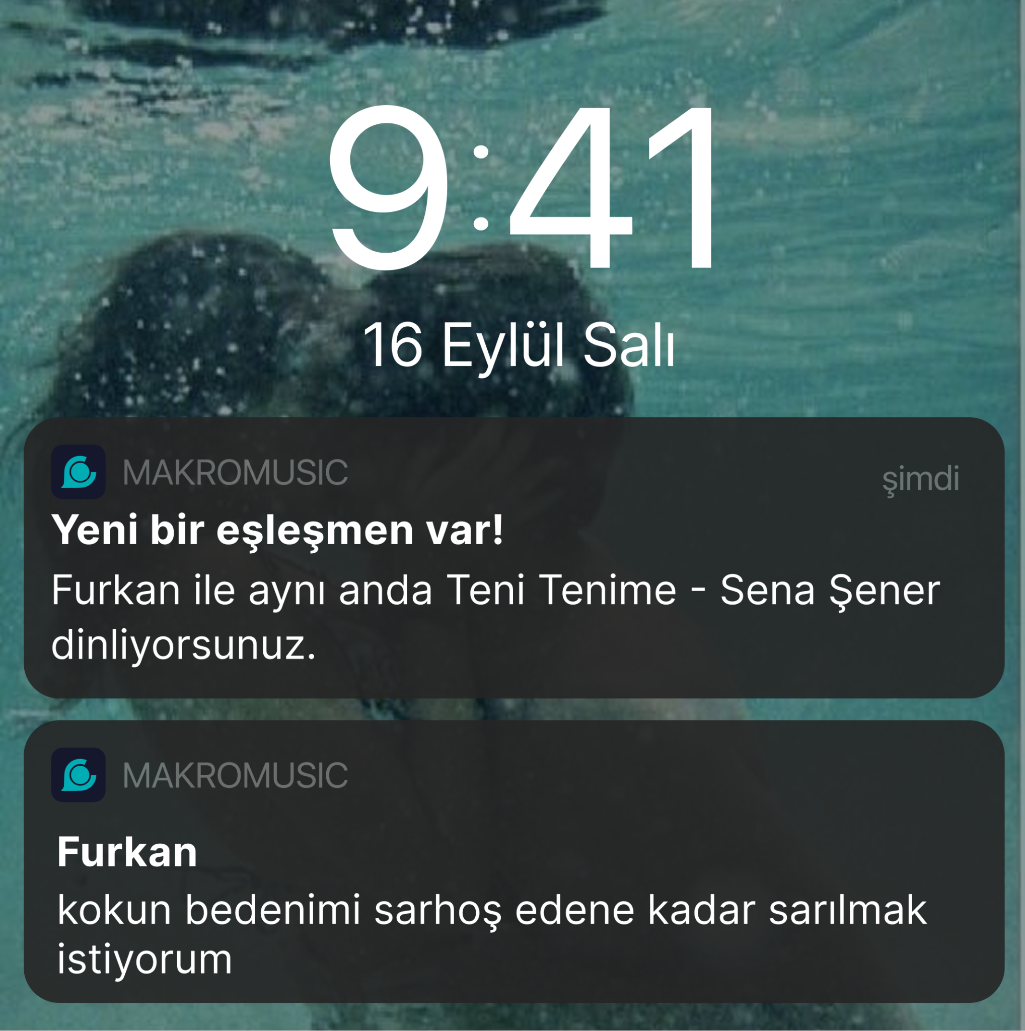 makromusic for Spotify Facebook ad
