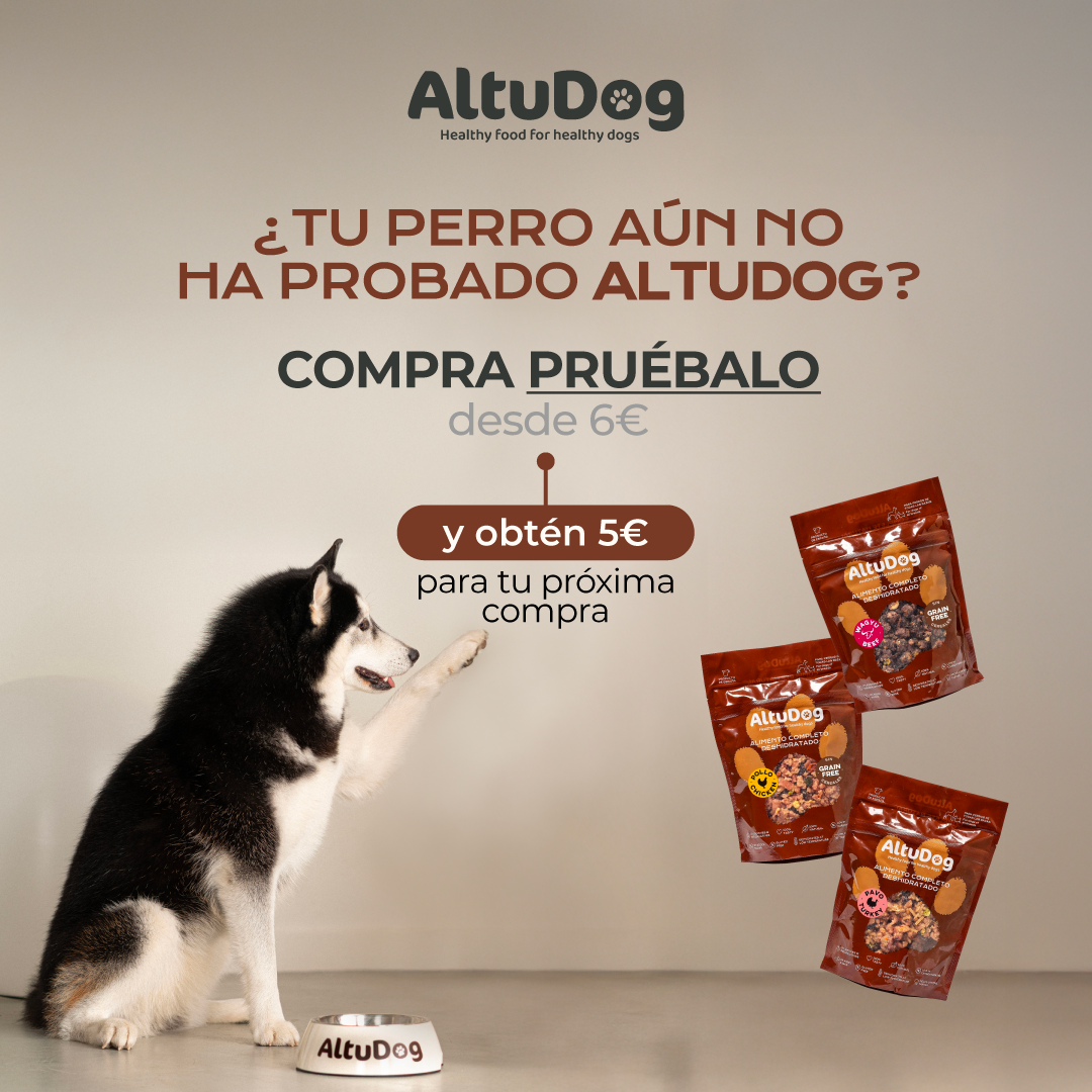 AltuDog Facebook ad