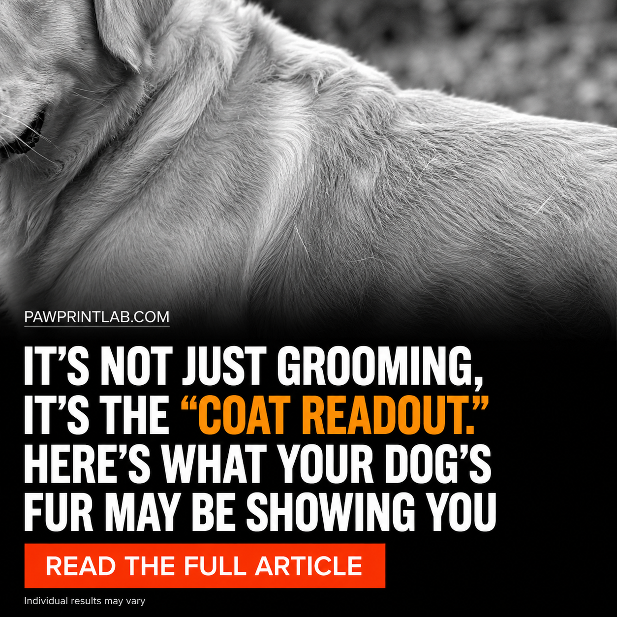 Vet-Approved Pet Products Facebook ad