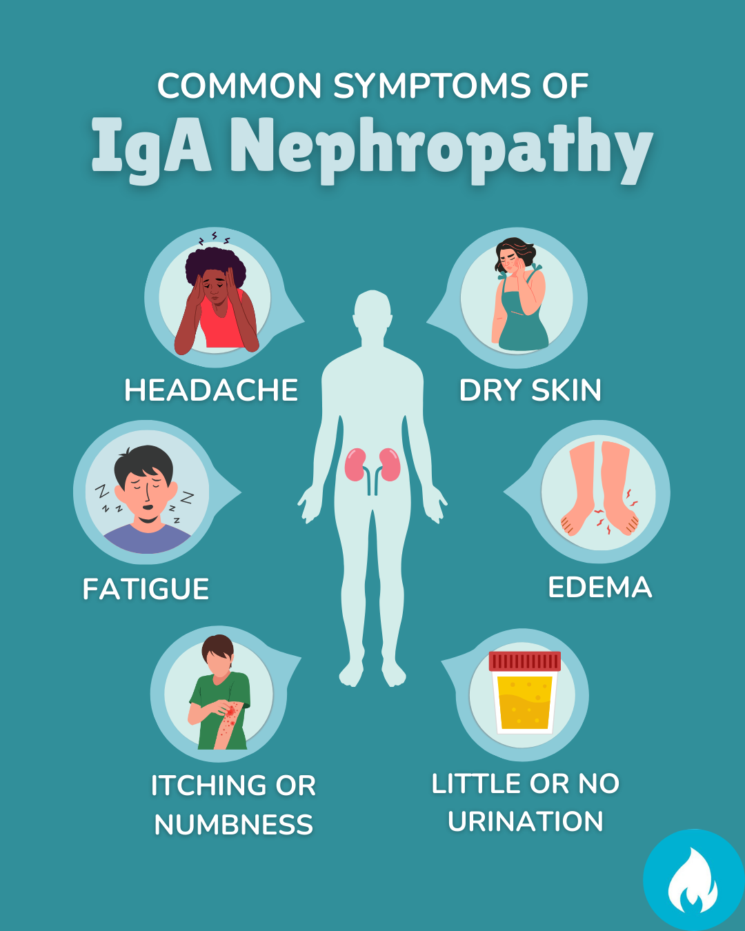 Patient Worthy Facebook ad: Insights Wanted: IgA Nephropathy (Berger's Disease)