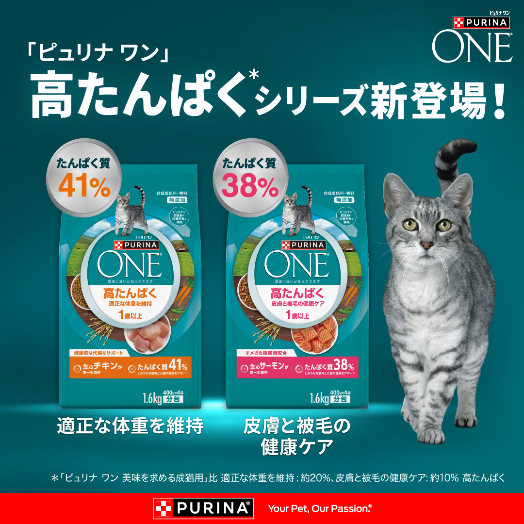 ピュリナ ワン キャット(Purina ONE Cat) Facebook ad: 「ピュリナ ワン」高たんぱくシリーズ