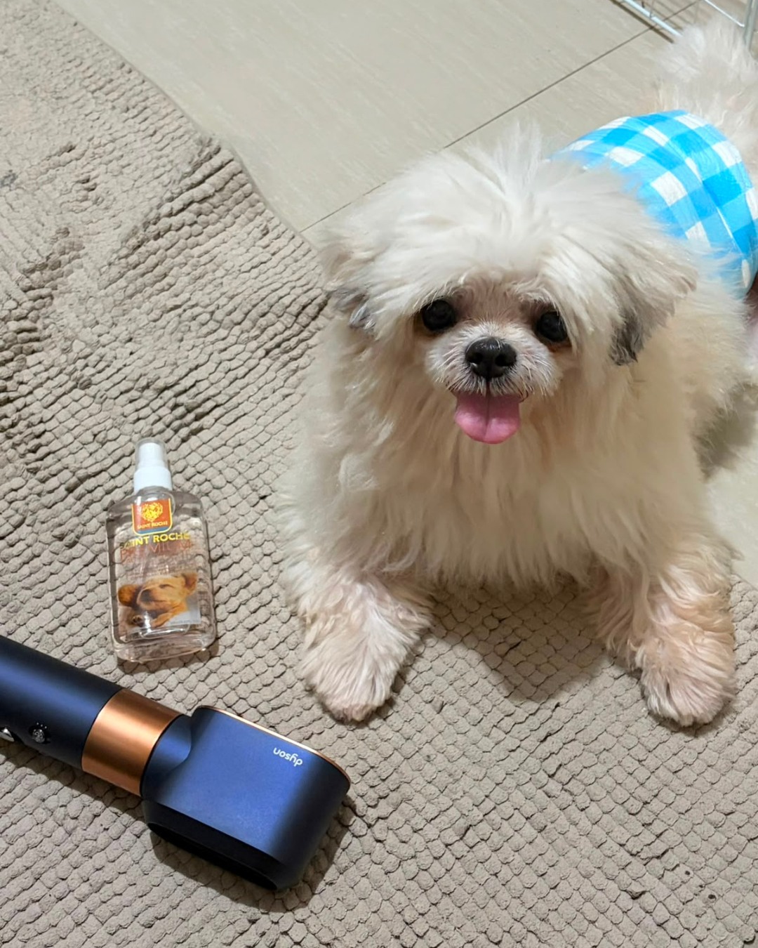 Saint Roche Premium Dog Shampoo Facebook ad