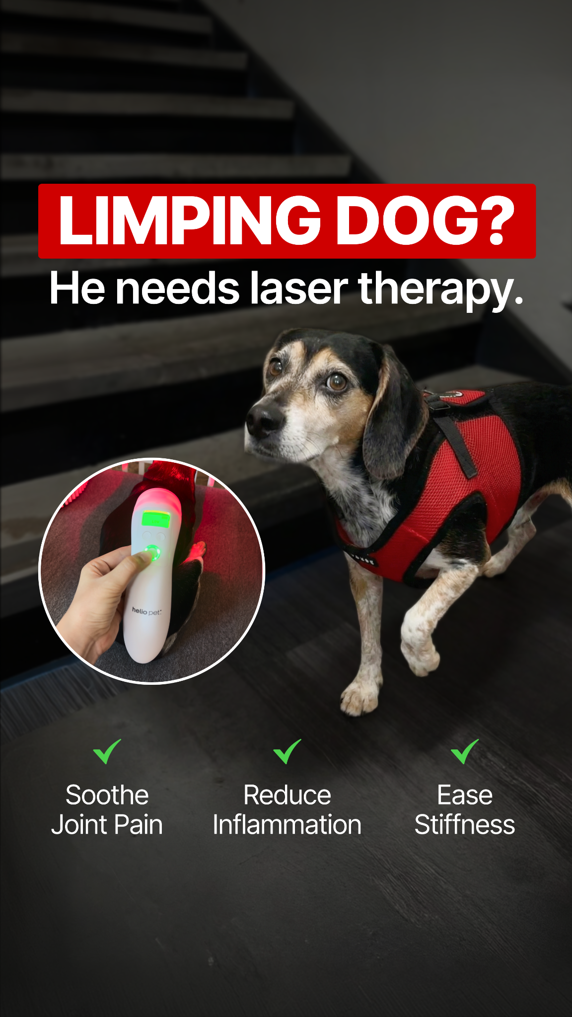Helio Pet Facebook ad