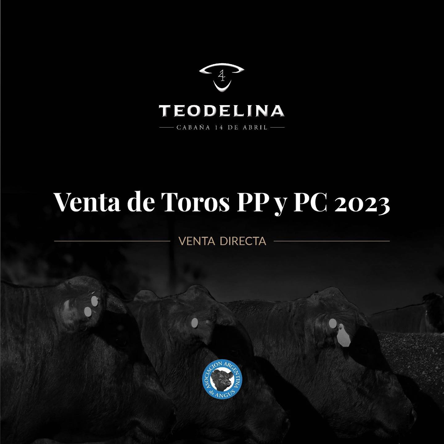 Teodelina S.A. Facebook ad: GRAN VENTA 2023
