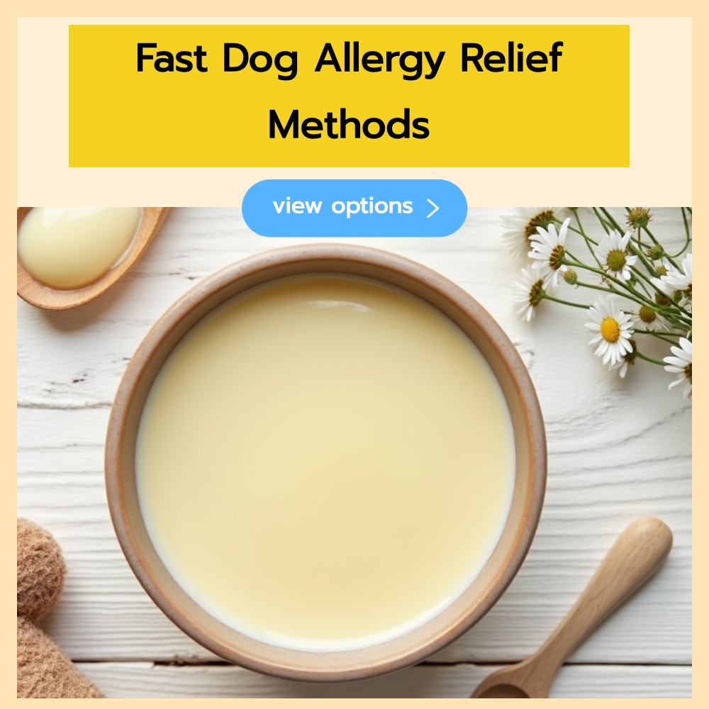Icananswerthat Alignify Facebook ad: Fast Dog Allergy Relief Methods.