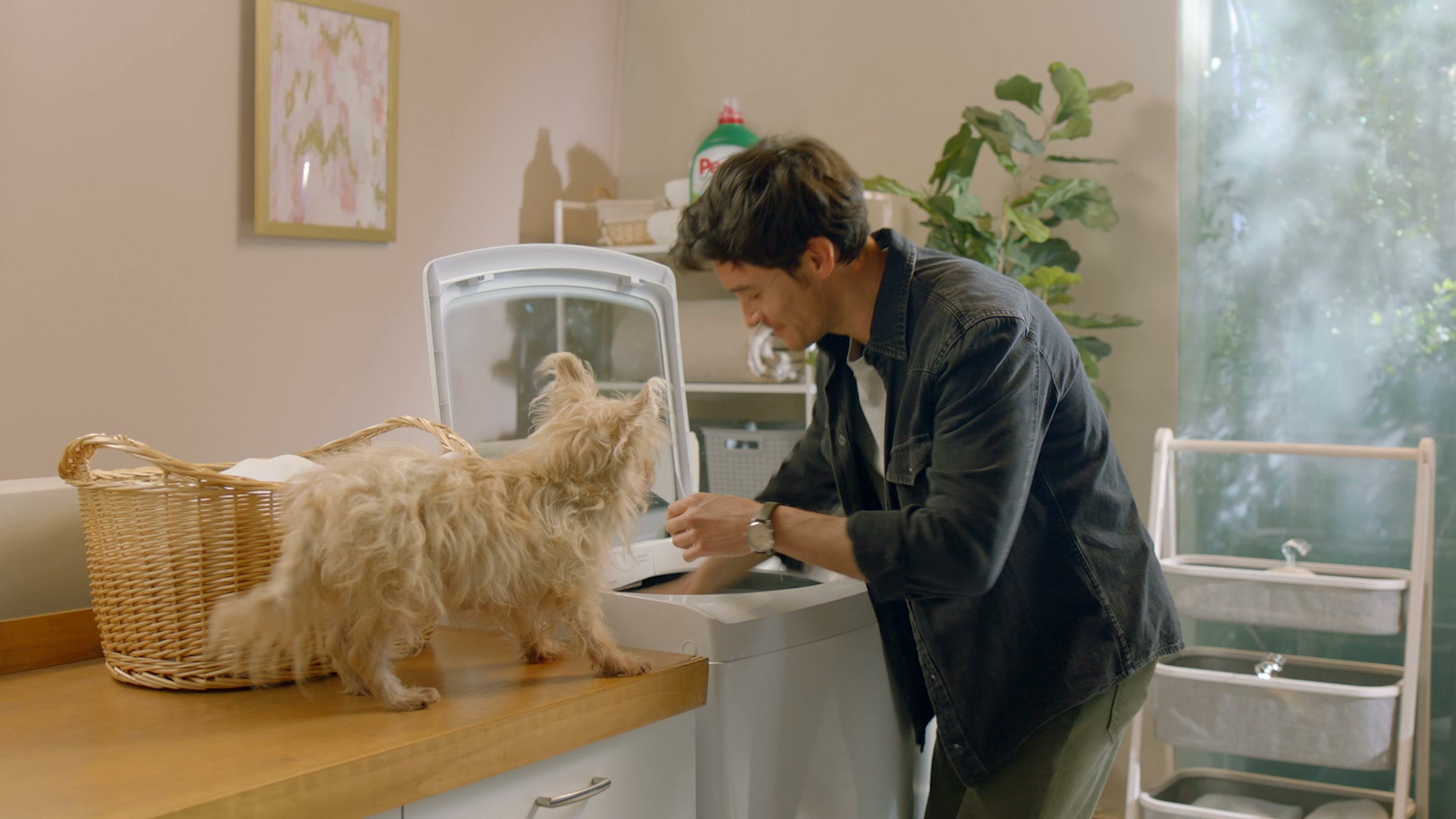 Persil Detergente Facebook ad: Cámbiate al Nuevo Persil Líquido.