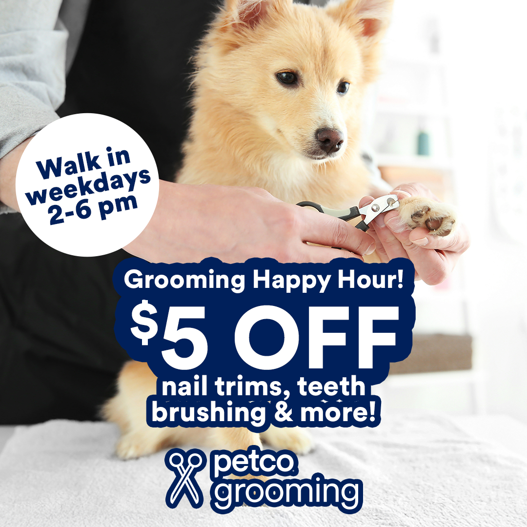 Petco Facebook ad