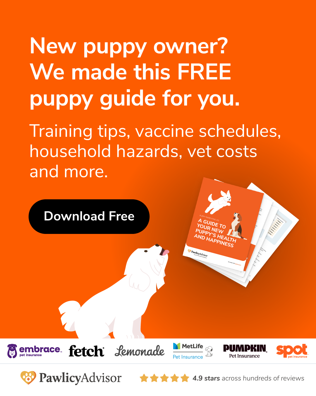 Pawlicy Advisor Facebook ad