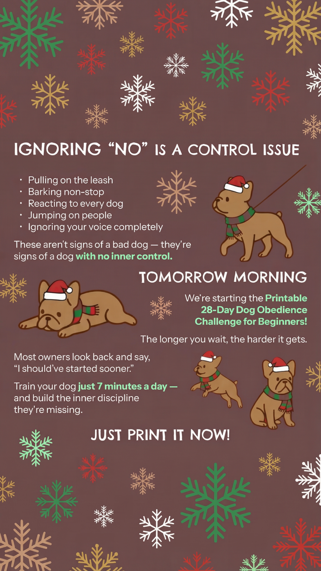 28 Day Dog Obedience Challenge Facebook ad