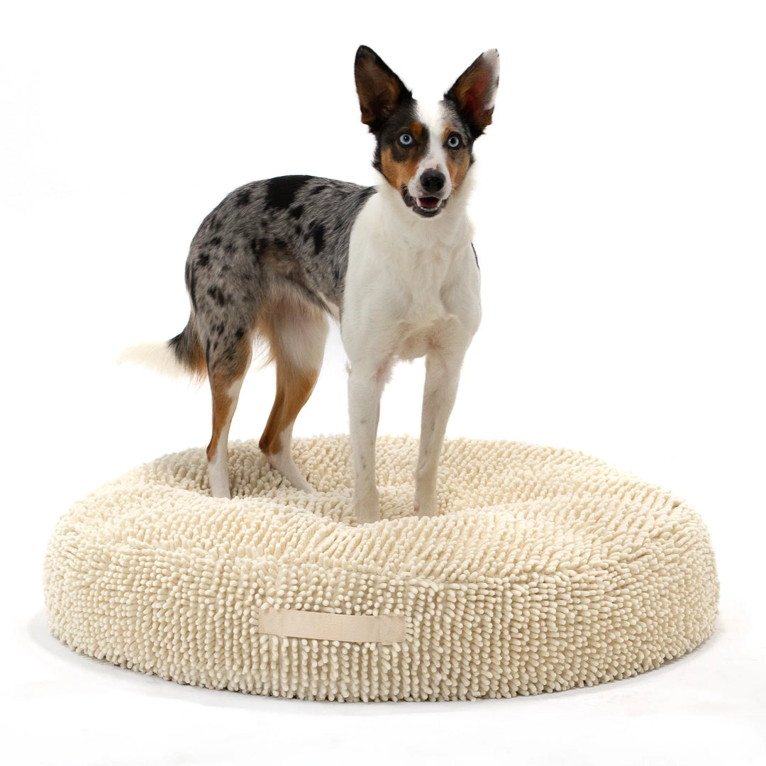 Bluewater Dog Facebook ad
