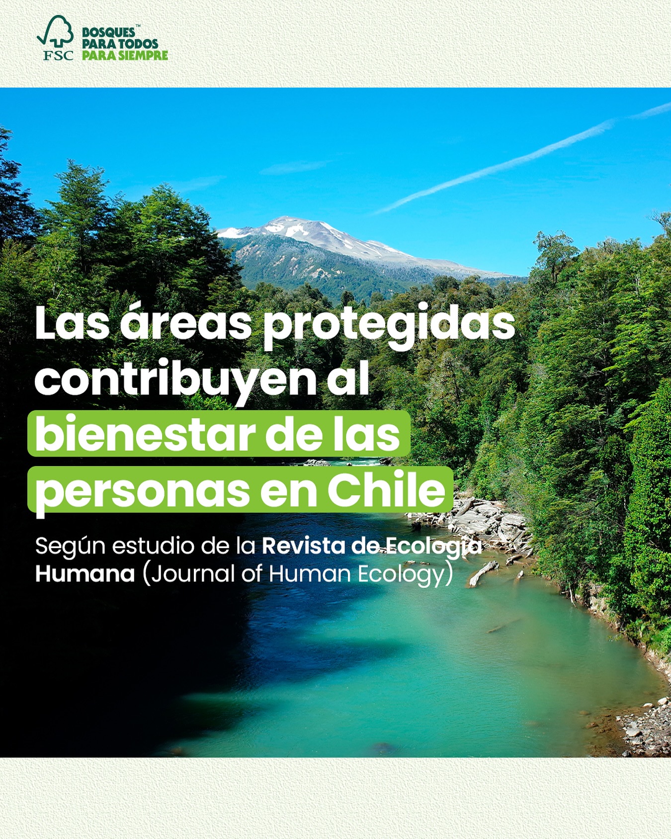FSC Chile Facebook ad: Por qué los bosques importan