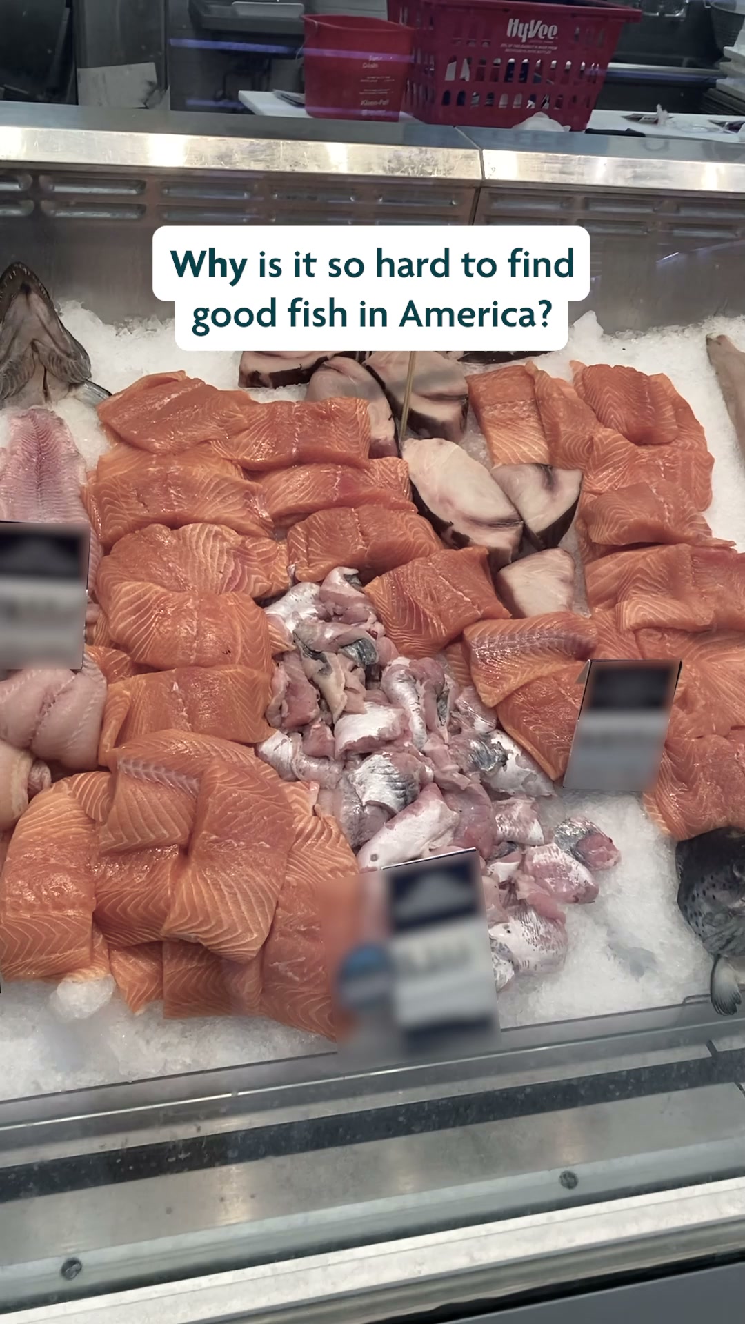 Wild Alaskan Company Facebook ad from Aug 2, 2026