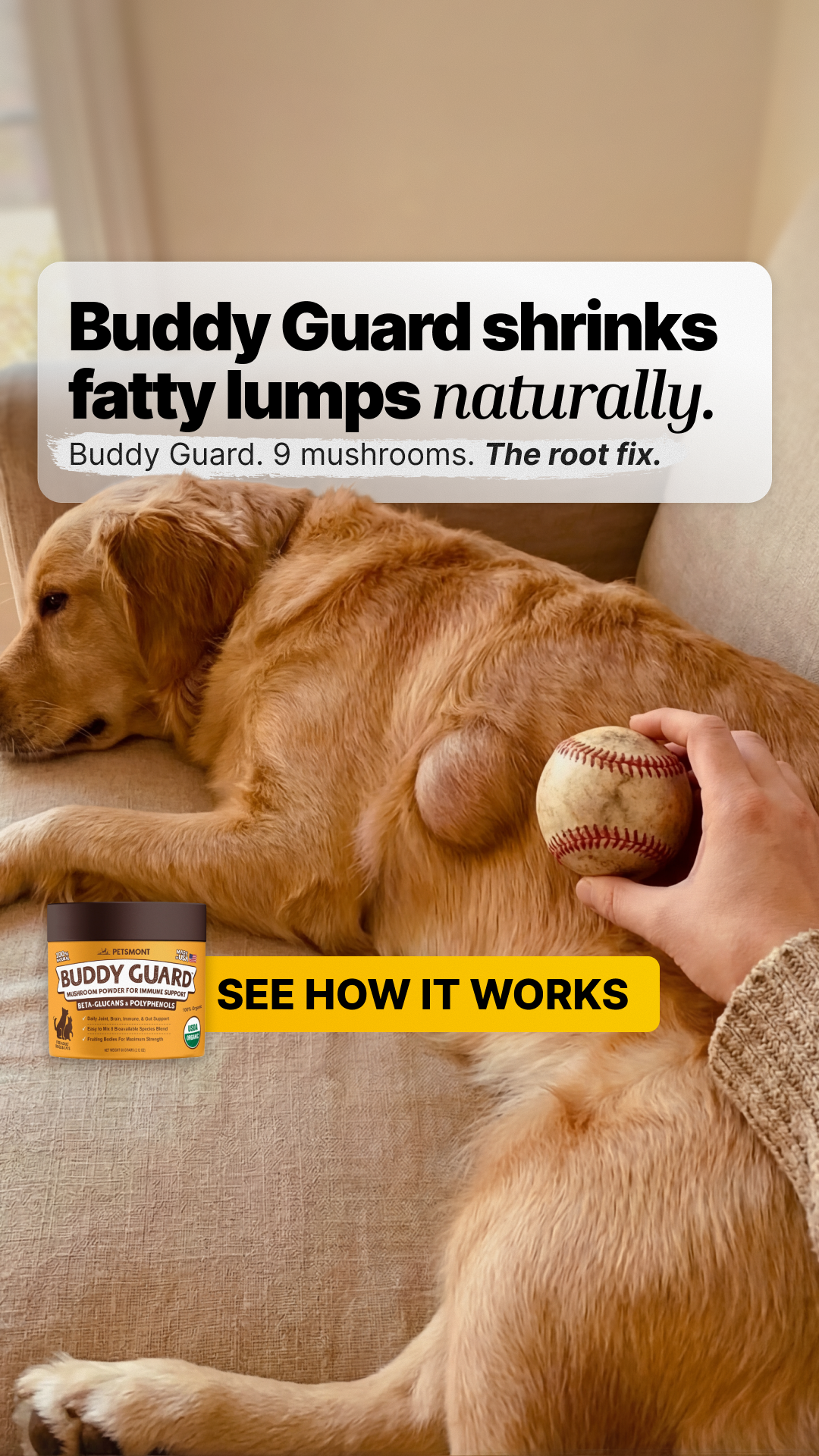 Well Pup Life Facebook ad