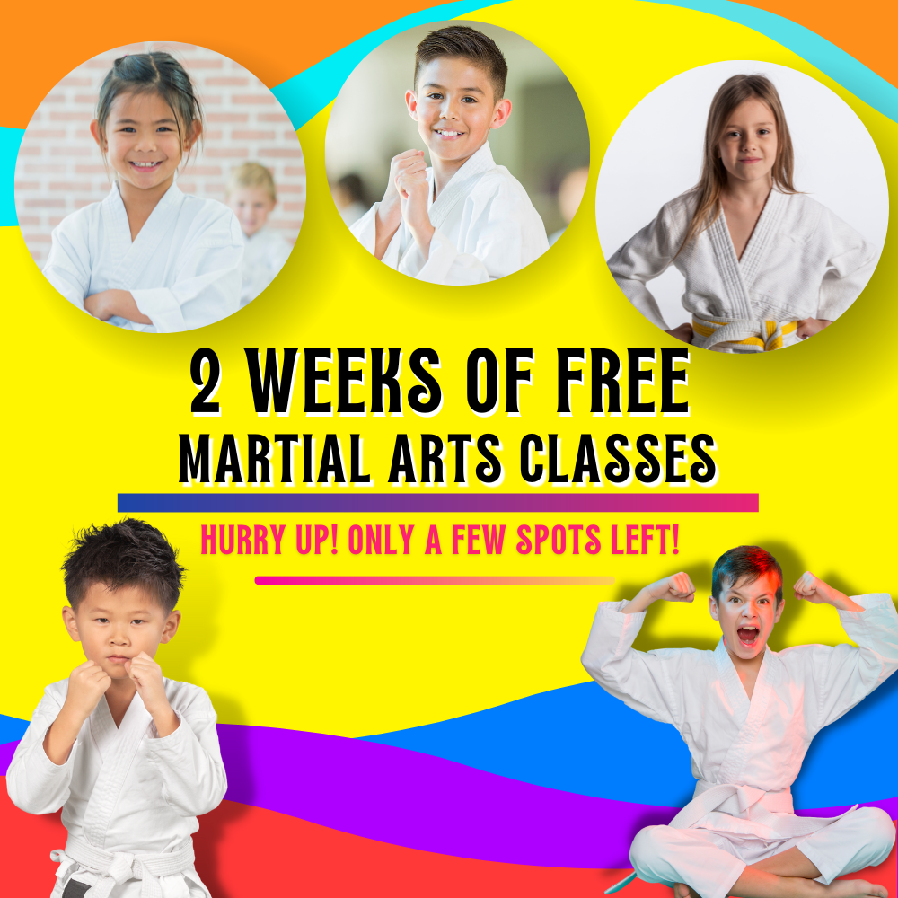 Advantage Taekwon-do Facebook ad: 2 Weeks of FREE Martial Arts Classes!