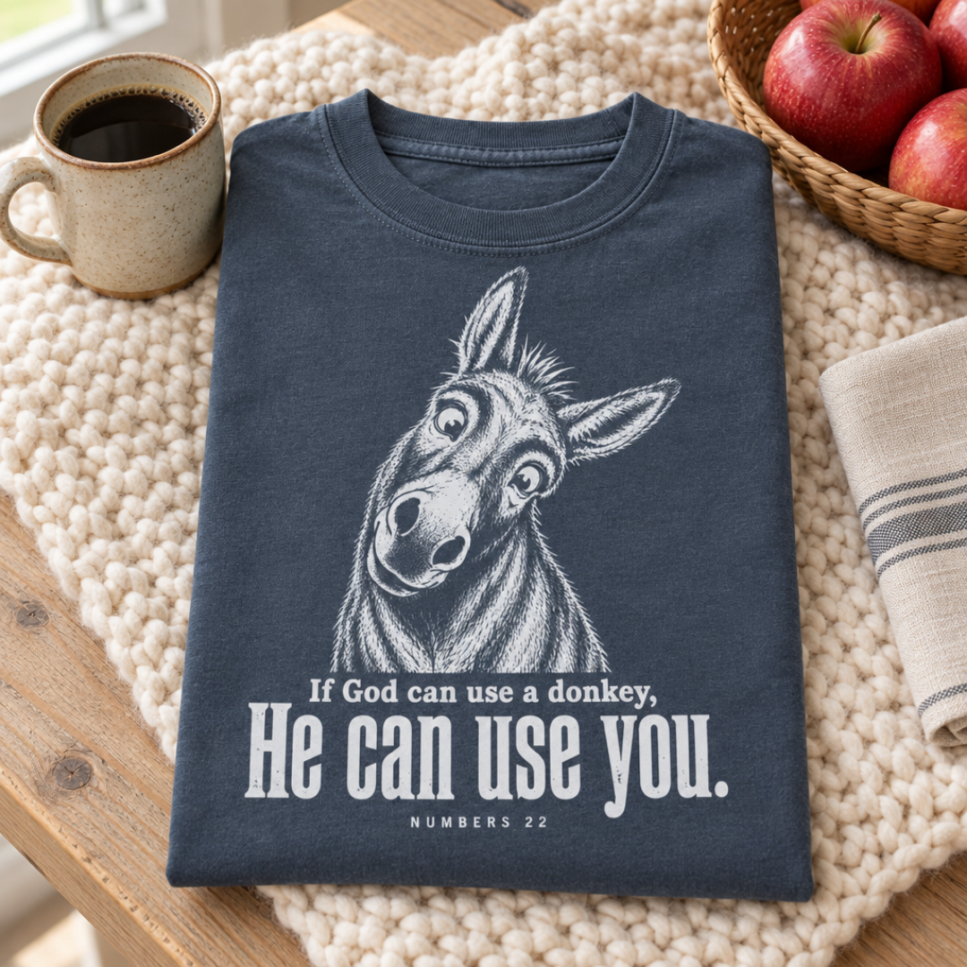 FaithWise + Co Facebook ad