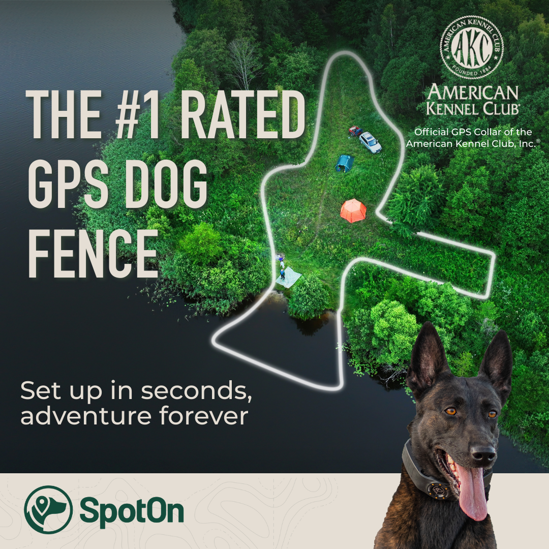 American Kennel Club Facebook ad