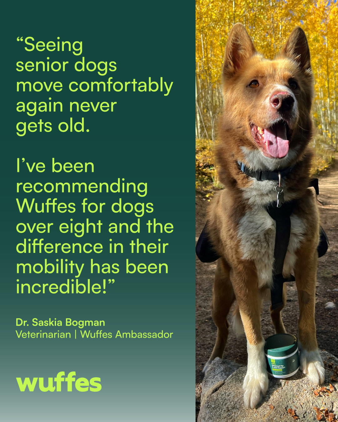 Wuffes Facebook ad