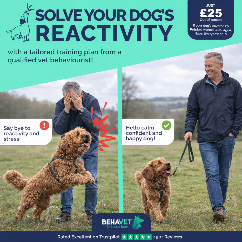 Behavet: The Pet Behaviour Experts Facebook ad