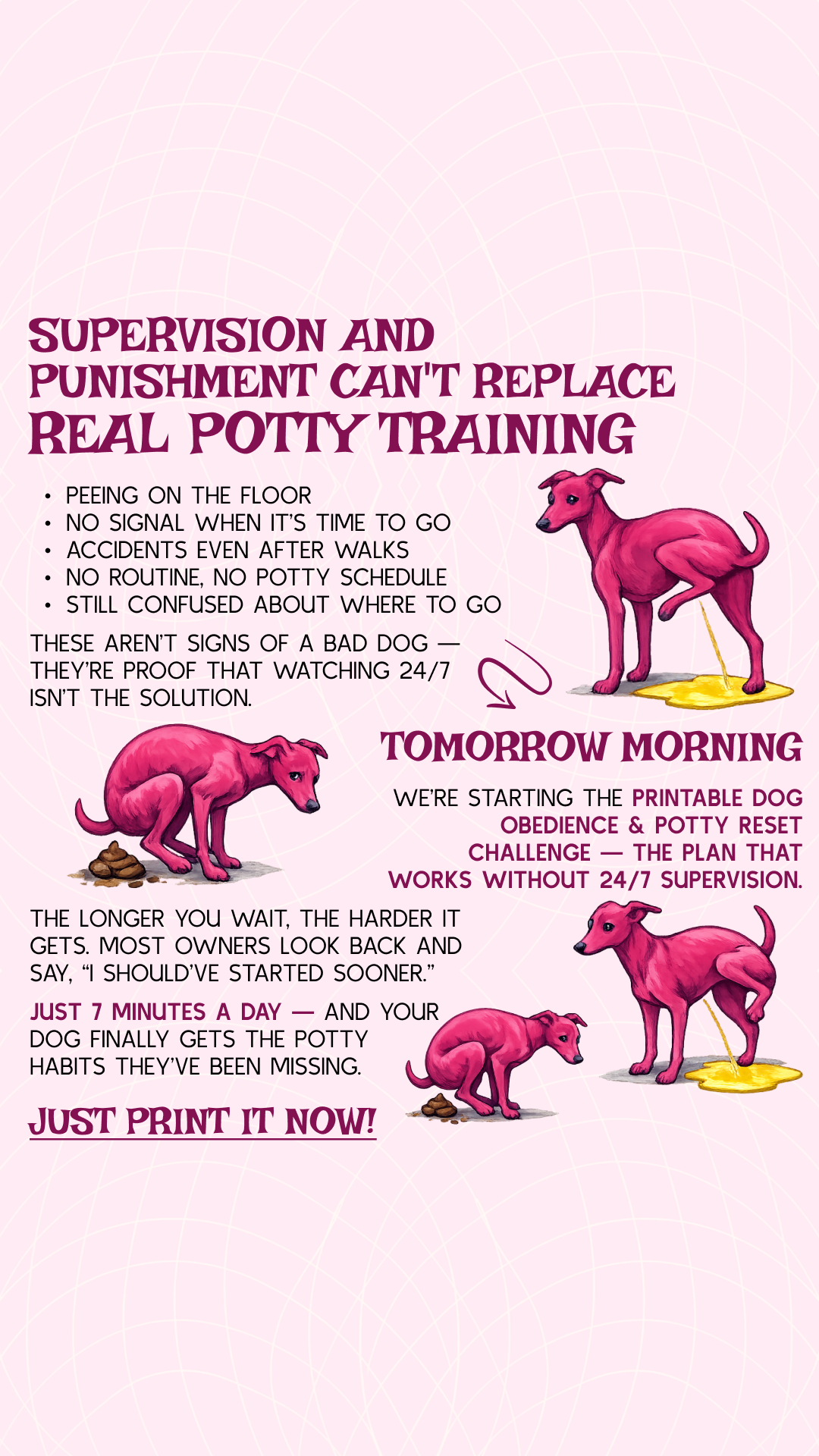 PawChamp Facebook ad