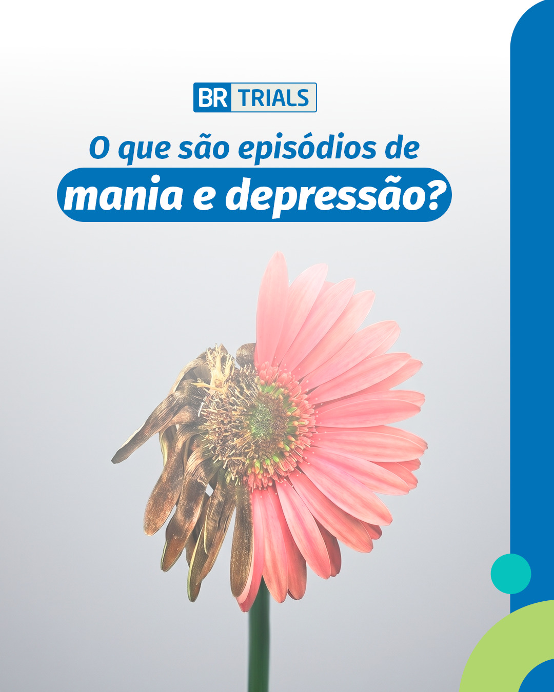 BR Trials Facebook ad