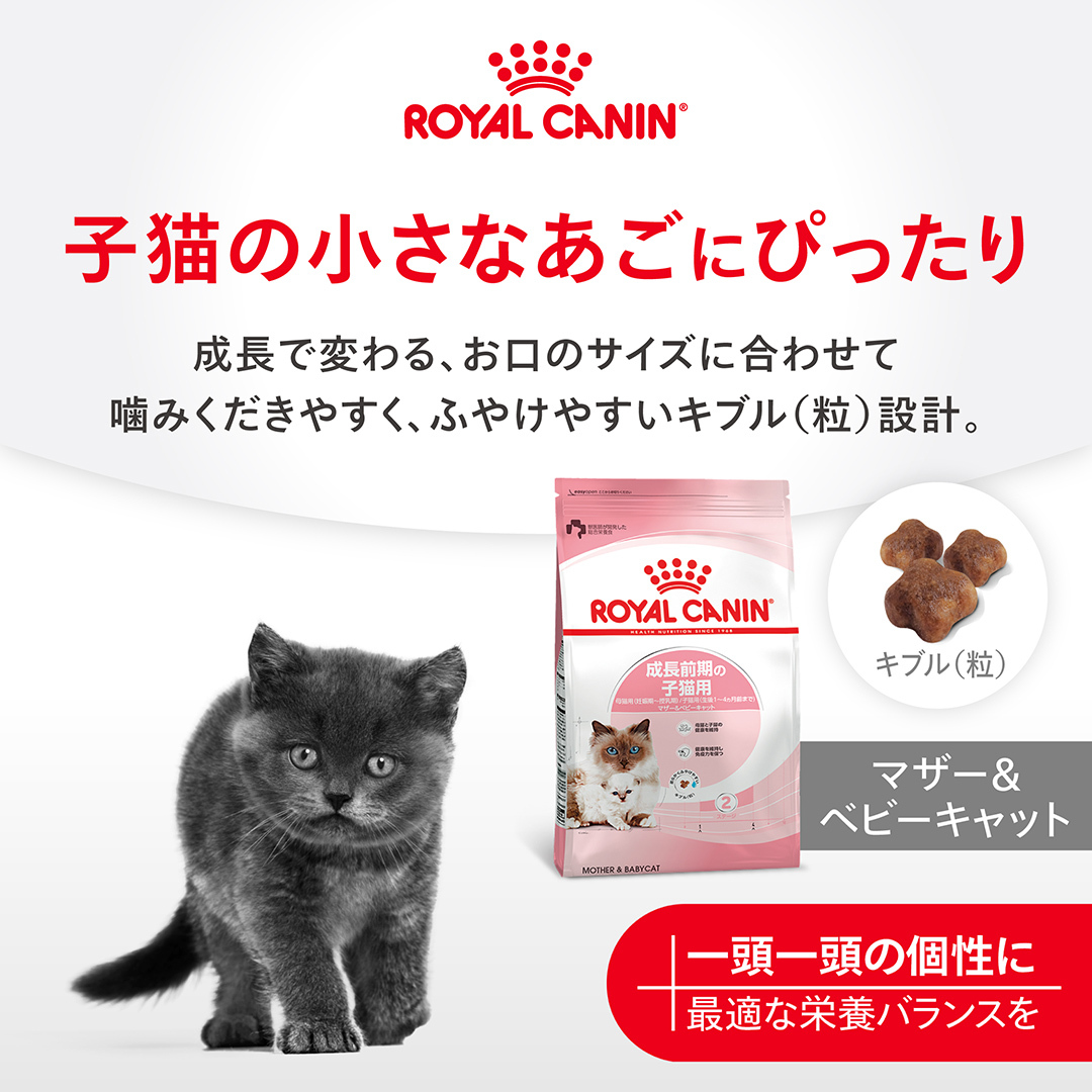 Royal Canin Japon Facebook ad: ロイヤルカナン公式オンラインストア限定!新規会員登録で「送料無料クーポン」をプレゼント!…