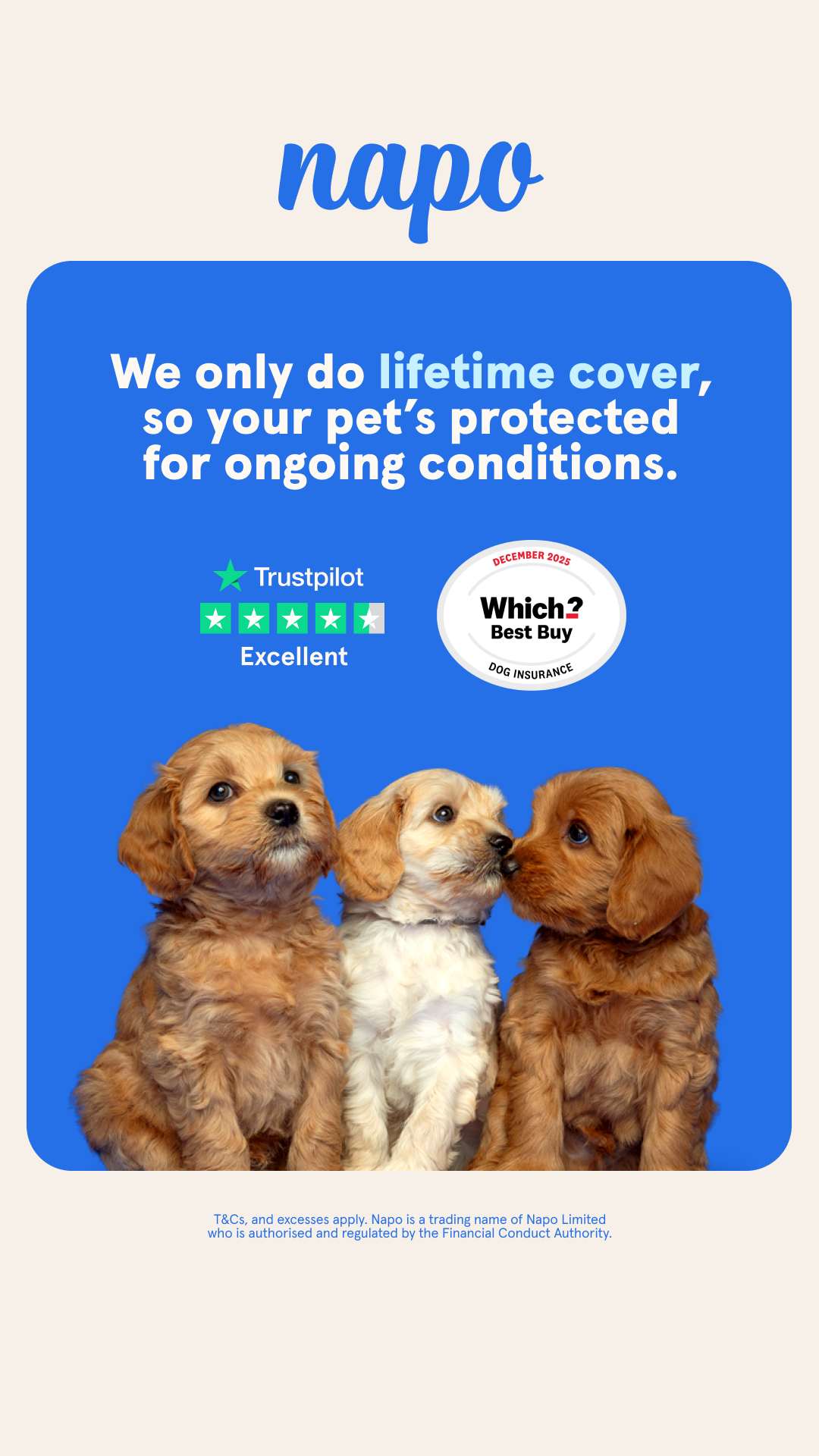 Napo Pet Insurance Facebook ad