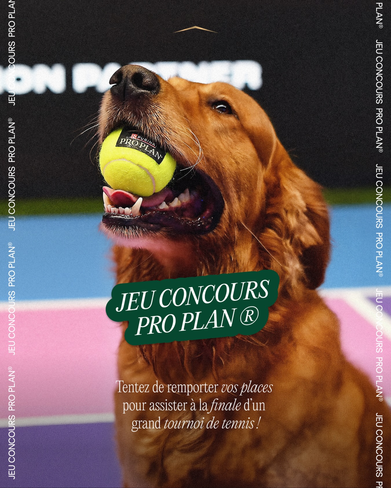 ProPlan France Facebook ad: JEU CONCOURS Jeu, set et match!