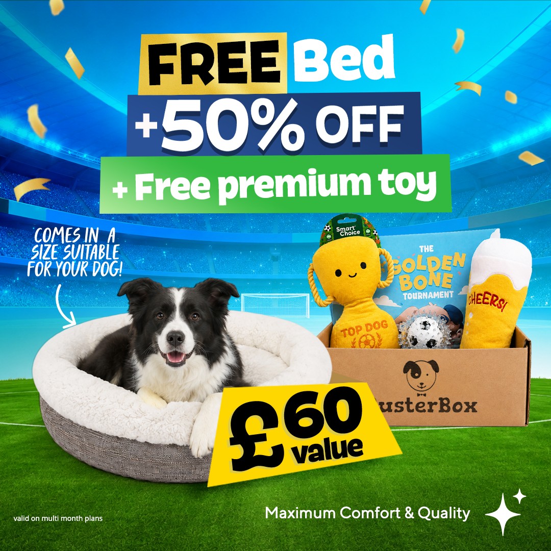 BusterBox Facebook ad